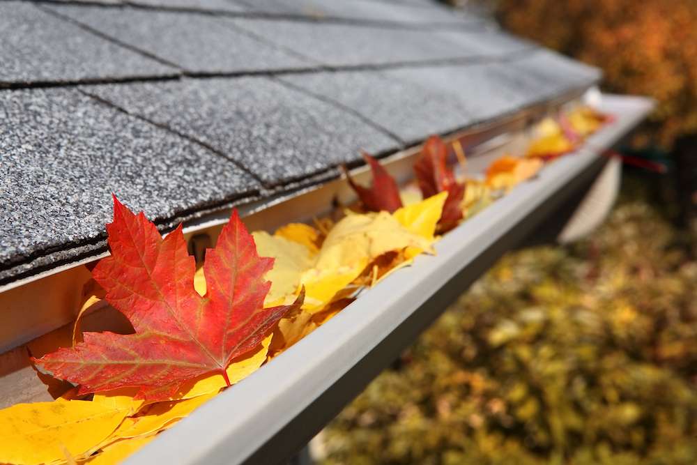 gutter cleaning services portland